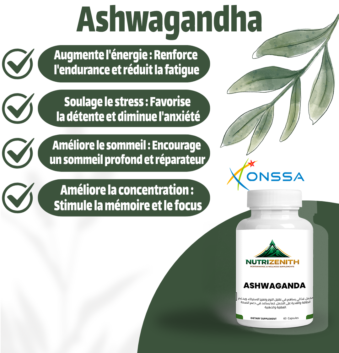 Ashwagandha – Soutien naturel pour l'équilibre, le calme mental et la vitalité quotidienne – Image 2