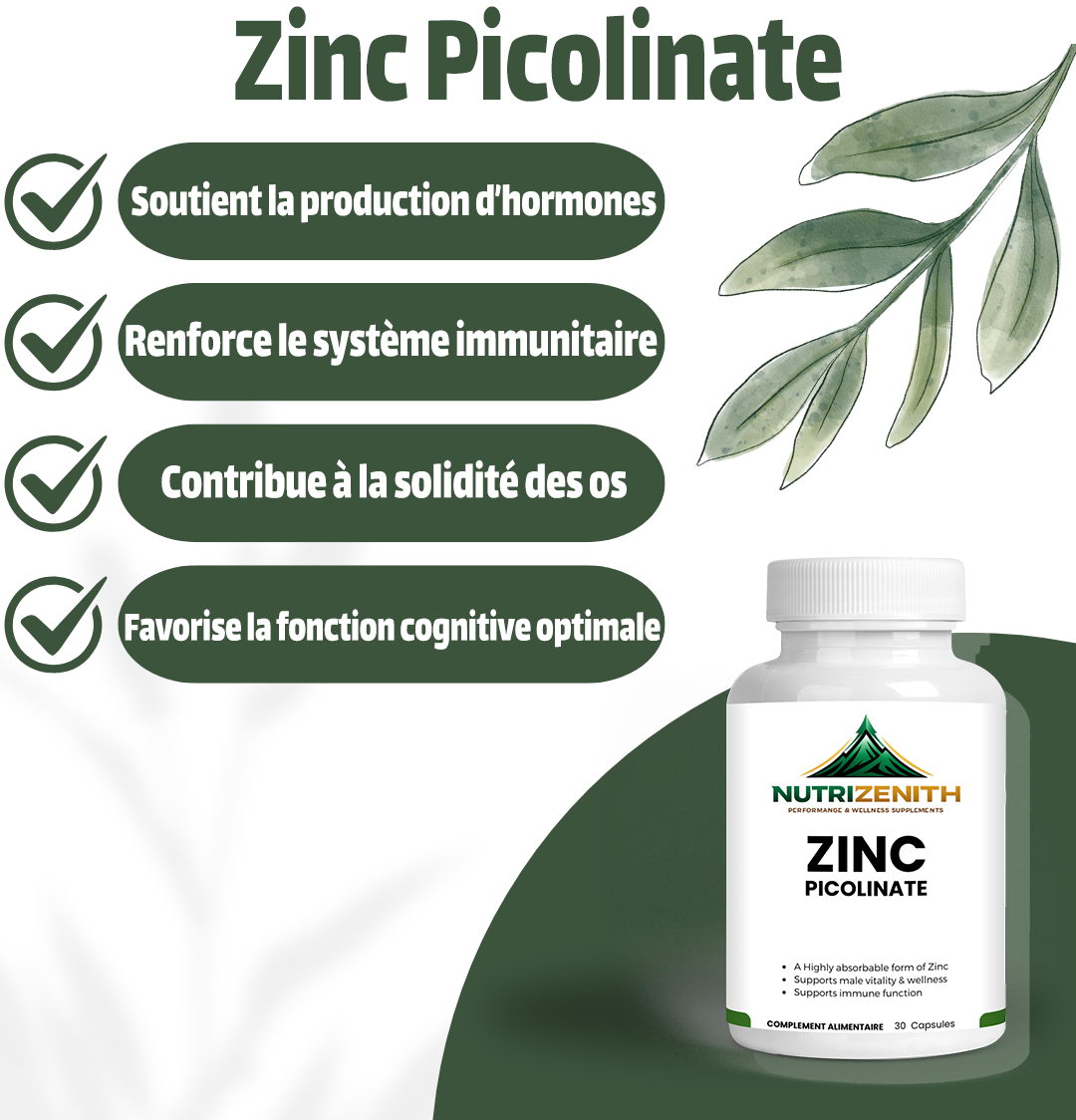 Zinc Picolinate – Soutien complet de la vitalité masculine, de l'immunité et de l'énergie quotidienne