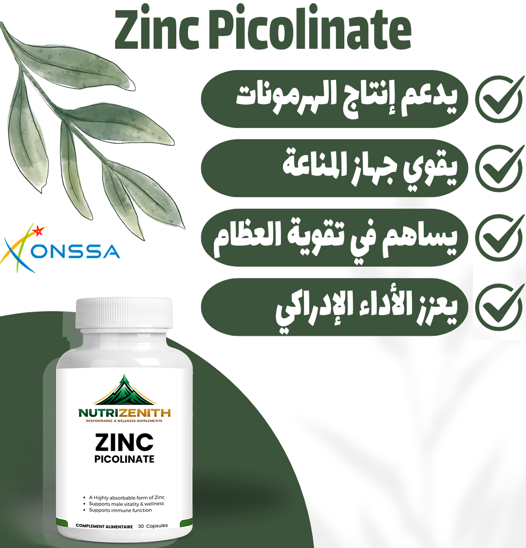 Zinc Picolinate - Complete Support for Male Vitality, Immunity & Daily Energy